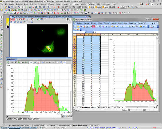 Obrázek histogramu a data exportovaná do MS Excel image