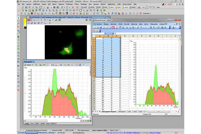 Obrázek histogramu a data exportovaná do MS Excel image