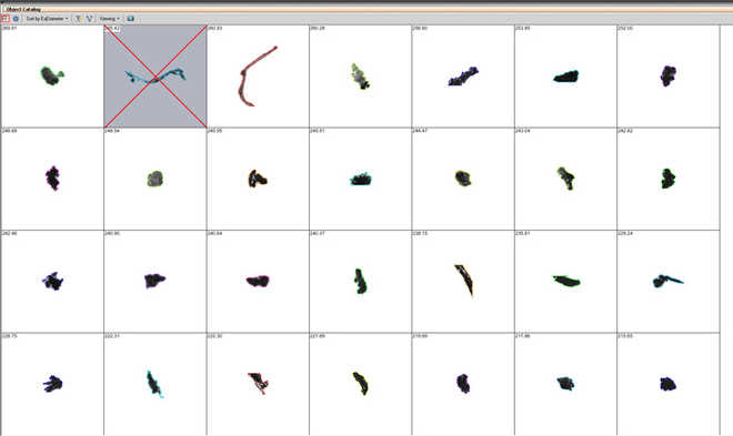 A catalogue of objects found on the filter image