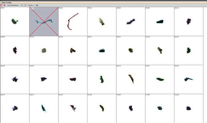Katalog objektů nalezených na filtru image