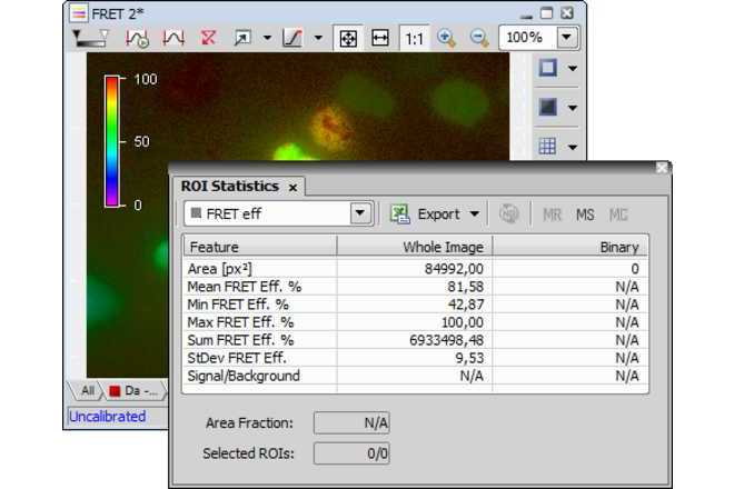 FRET Image with Statistics image