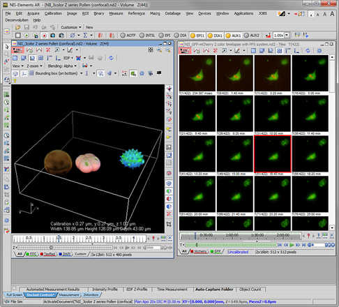 Z sekvence zobrazená jak 3D model respektive v čase image