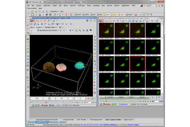 Z Series data set displayed as a 3D model and in time image